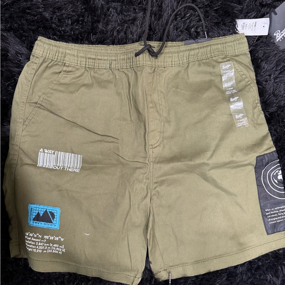 Stylish Men's Olive and gray Shorts
